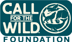 Call For The Wild logo