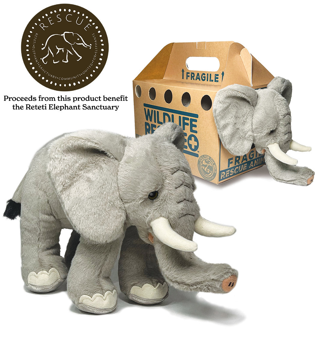 Rescue Elephant – Call For The Wild