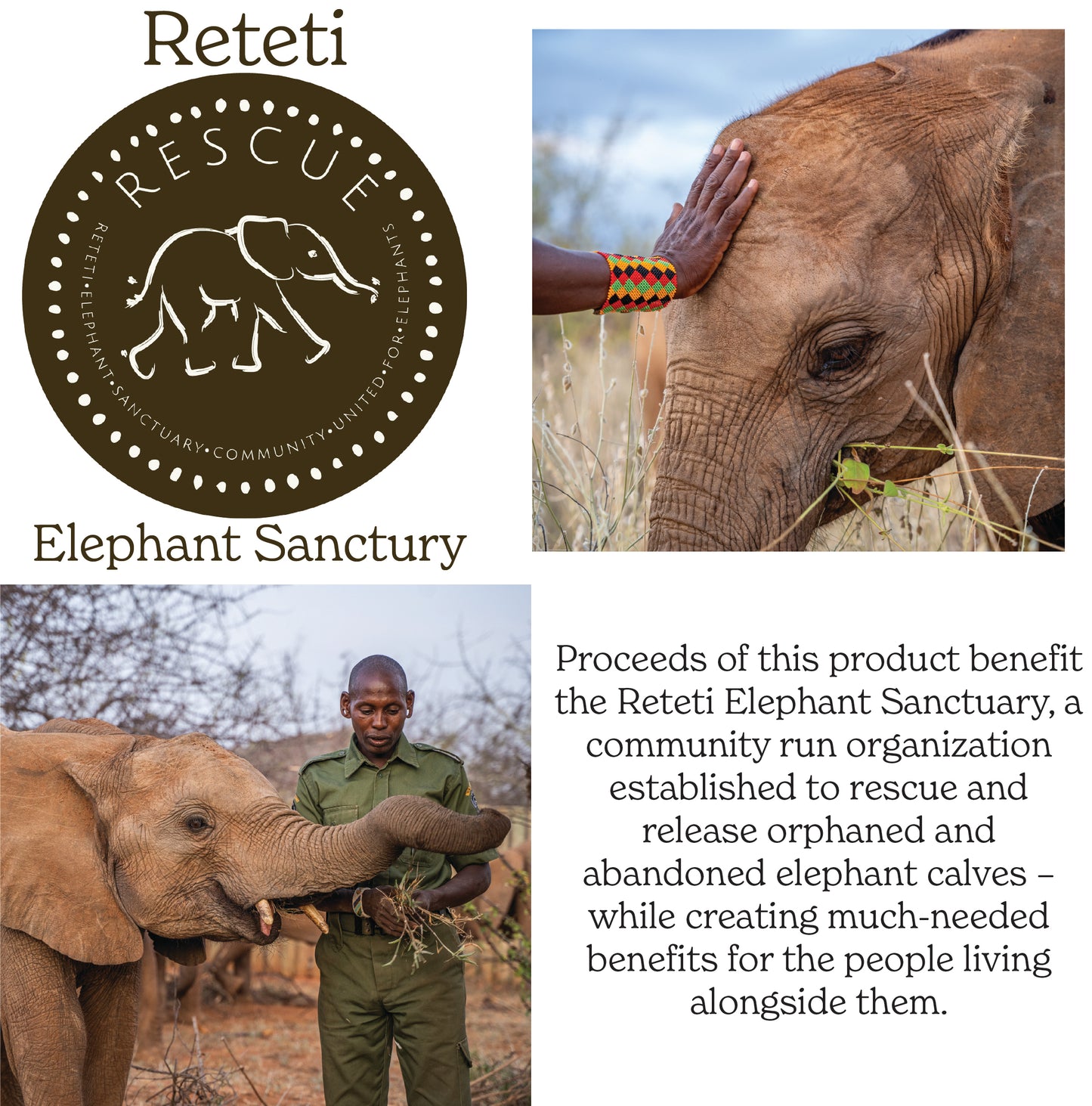 Rescue Elephant