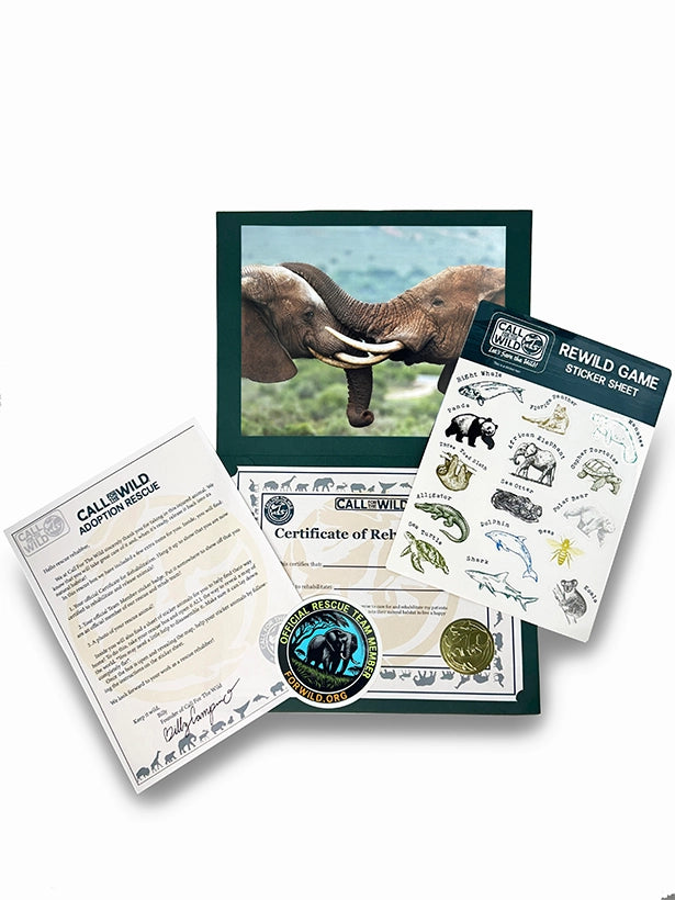 Elephant Rescue Plush Adoption Box