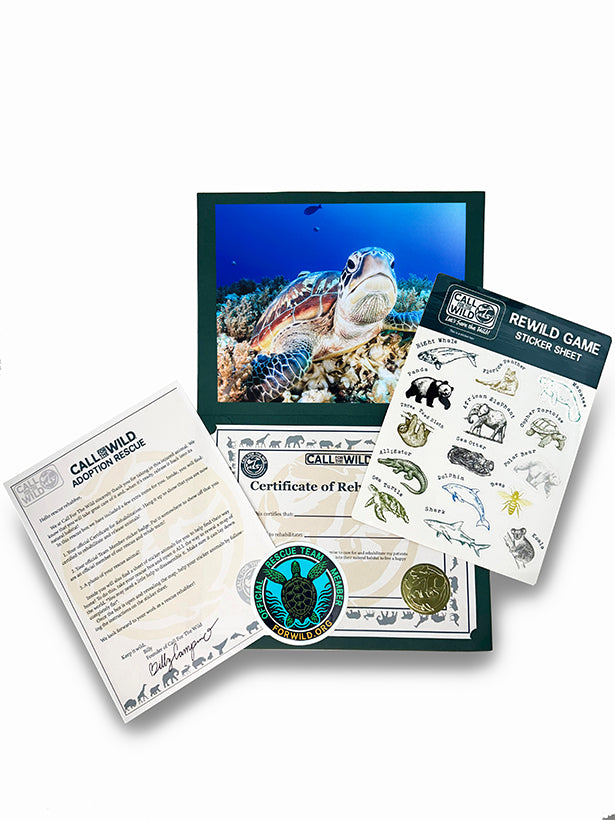 Sea Turtle Rescue Plush Adoption Box