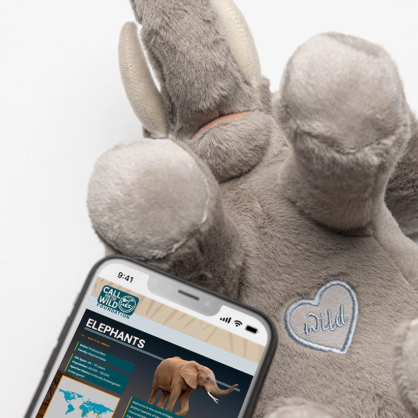 Elephant Rescue Plush Adoption Box