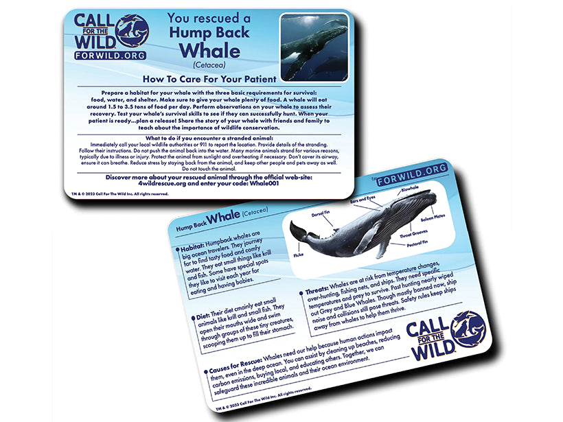 Whale Rescue Plush Adoption Box