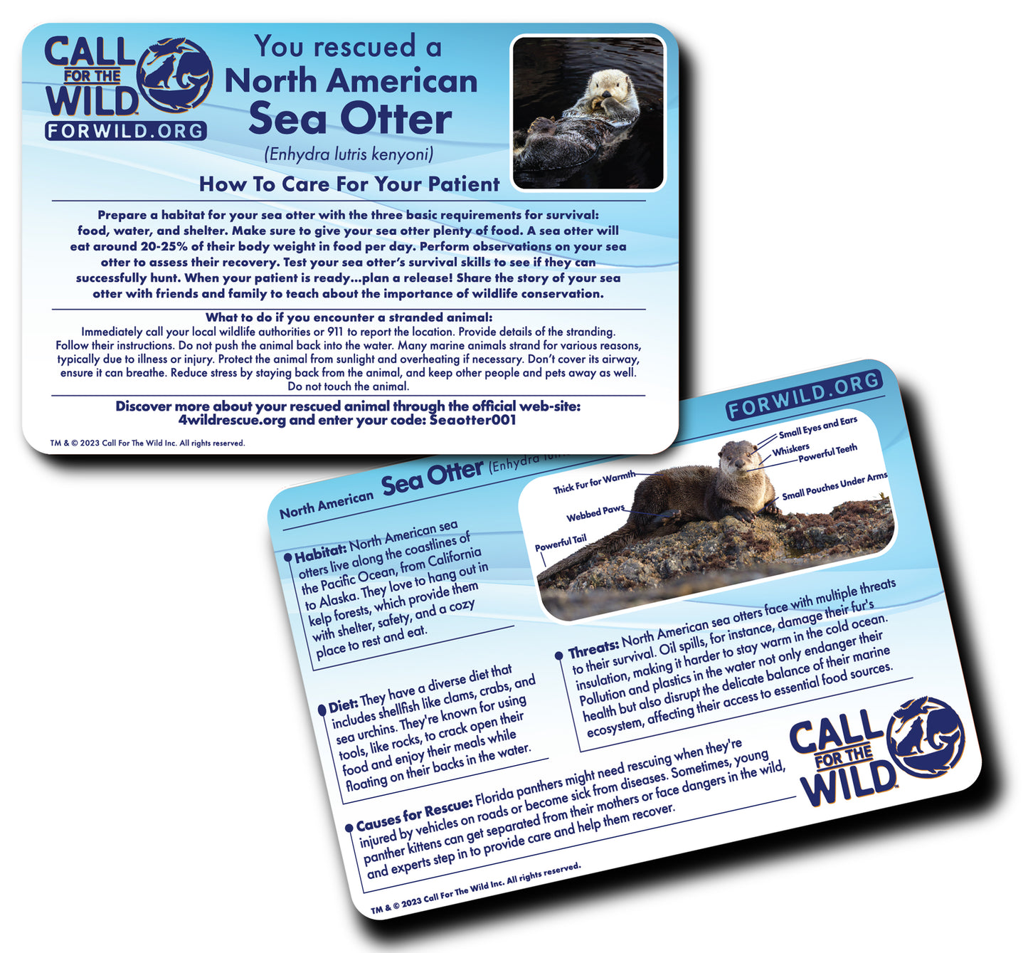 Rescue Sea Otter