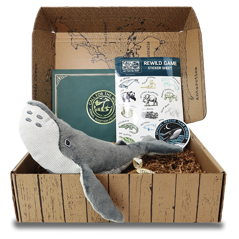 Whale Rescue Plush Adoption Box