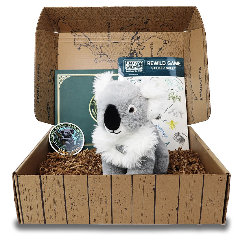 Koala Rescue Plush Adoption Box