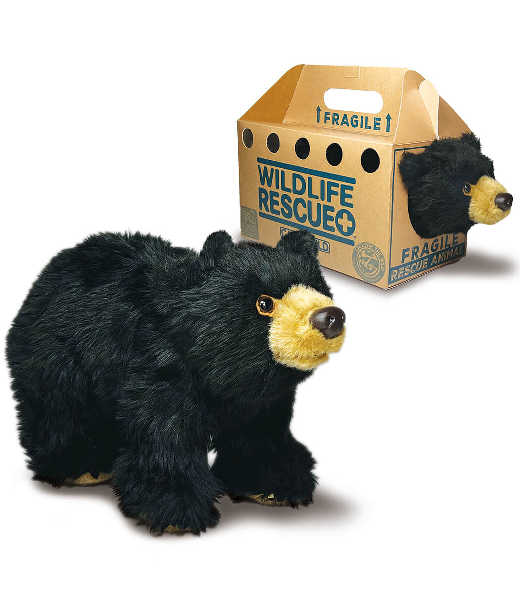 Rescue Black Bear