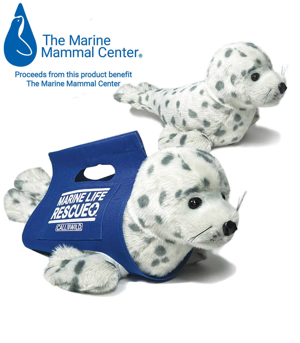 Rescue Baby Harbor Seal – Call For The Wild