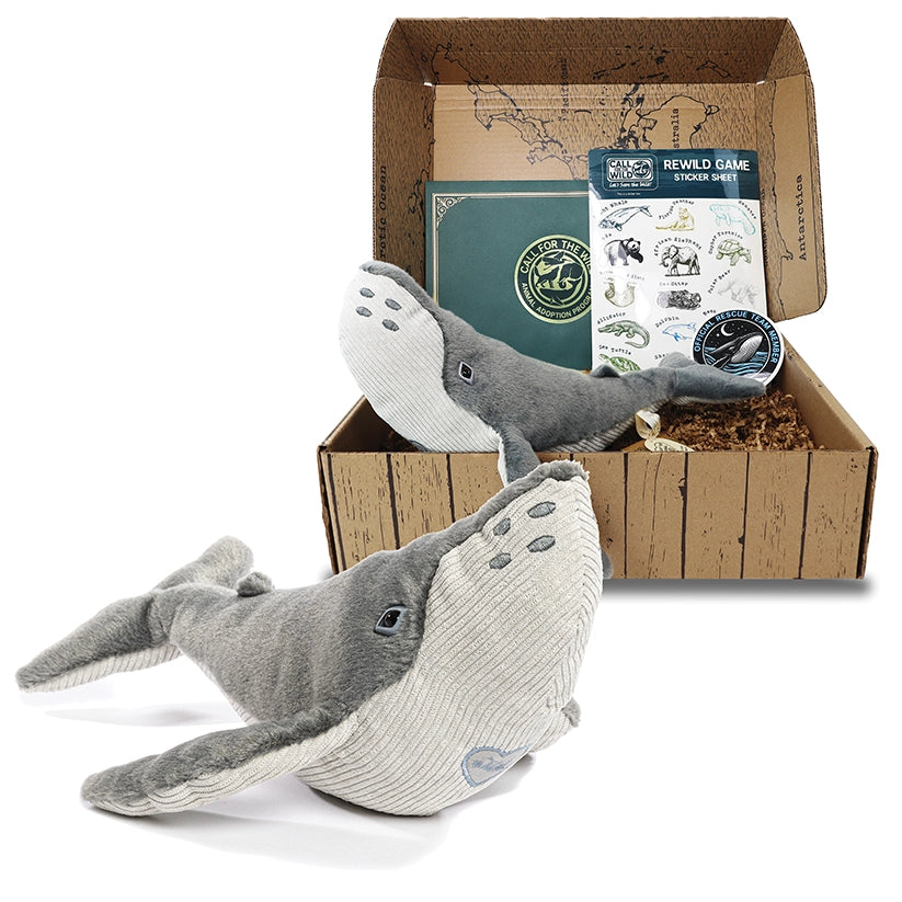 Whale Rescue Plush Adoption Box