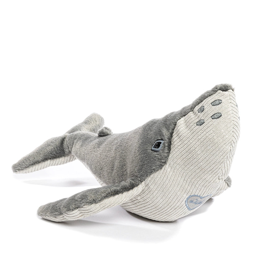 Whale Rescue Plush Adoption Box