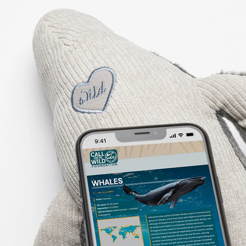 Whale Rescue Plush Adoption Box