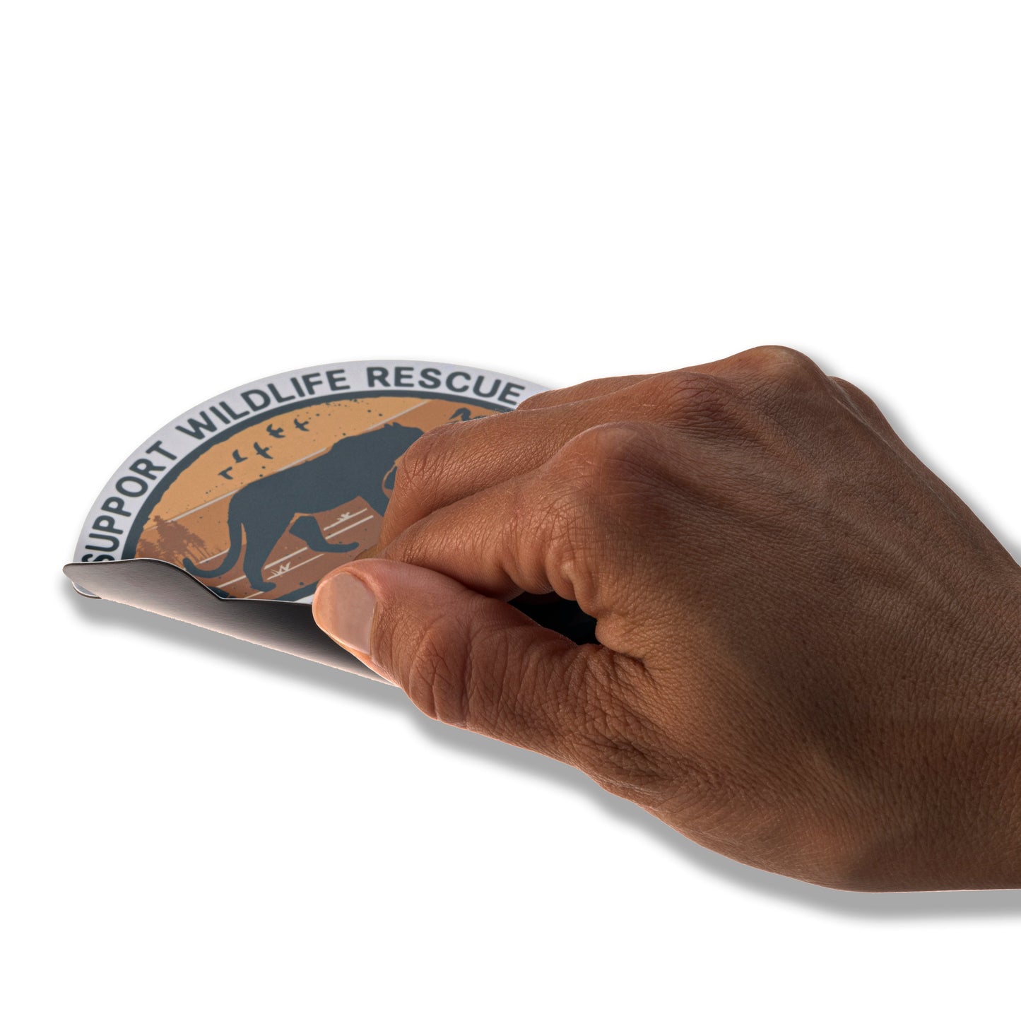 Car Magnet - Sea turtle Conservation Seal