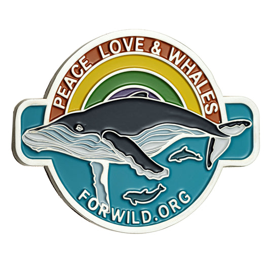 Enamel Magnet - Whale Original Art